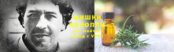 трава Наволоки